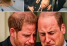 William clutched Harry in his arms, sobbing uncontrollably, as doctors delivered the unthinkable.