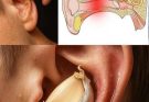 The Hidden Power of Garlic: 7 Powerful Uses Beyond Cooking